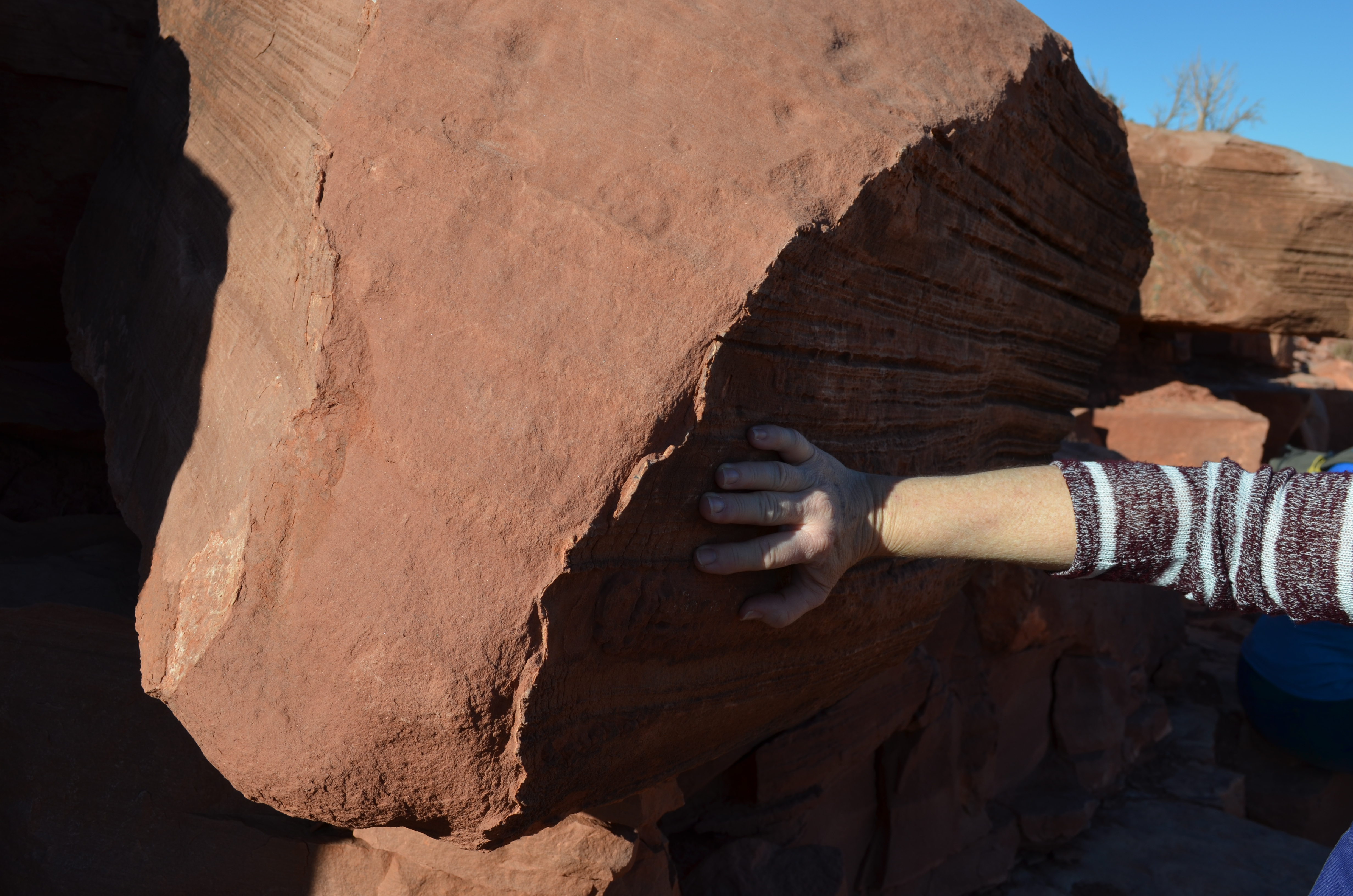 ./2016/04 - Las Vegas/Grand Canyon Skywalk/DSC_0359.JPG